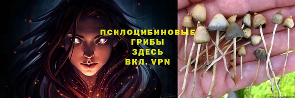 каннабис Абаза