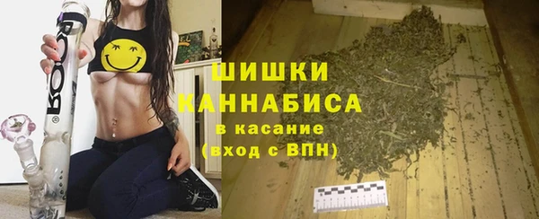 гашик Алексеевка