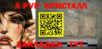 индика Гусев