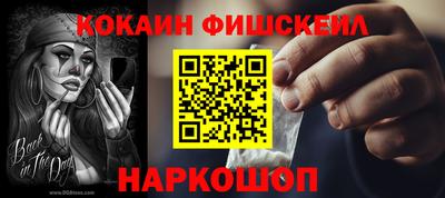 индика Гусев