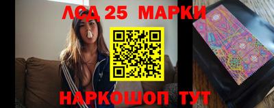 индика Гусев