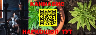 индика Гусев