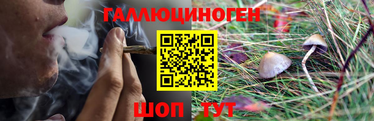 закладка  Вход с VPN  Удомля  Галлюциногенные грибы GOLDEN TEACHER 